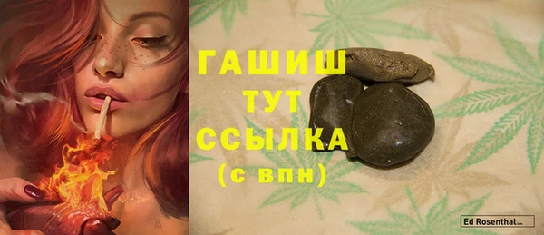 спайс Ельня