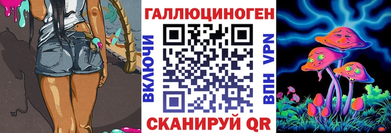 mega tor  Долгопрудный  Псилоцибиновые грибы мухоморы 
